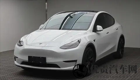 浙江车主喜欢开什么车?吉利还是特斯拉?-3