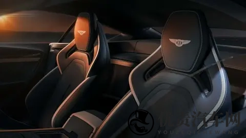 宾利刚刚发布了一款纯内燃机V8跑车-3