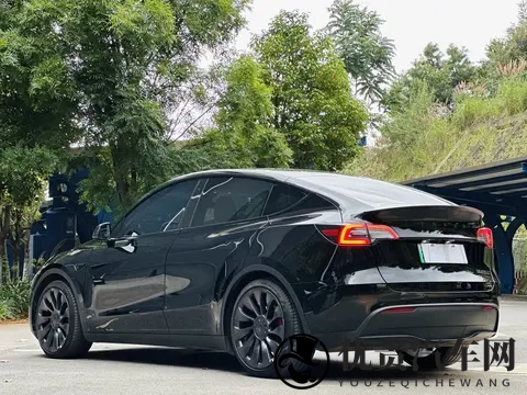 22年特斯拉Model Y:61万公里,高性能版,电车加速天花板?-2