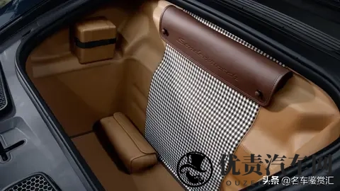 保时捷推出全新Sonderwunsch定制版911 GT3 “豹猫”-2