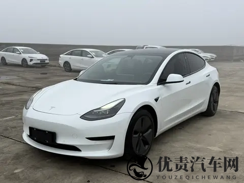 三年Model3，加速56秒，电车二手行情香不香？-1