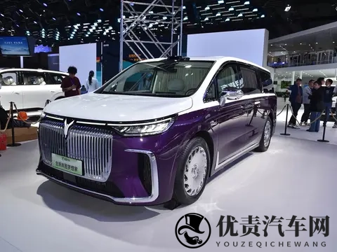 预售价7099万元_四座布局 岚图梦想家山河版将于11月21日上市-1