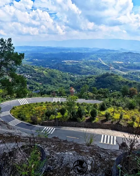 如何使用路肩和护栏预判弯道角度?-1