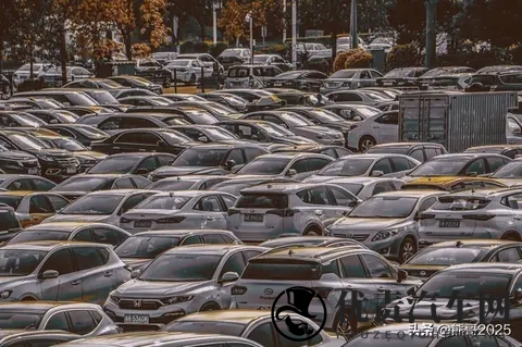 倒闭车企“烂尾车”受年轻人青睐,独特消费观引热议-3