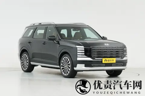 30万级家庭大空间之选：细致体验新一代帕里斯帝-3