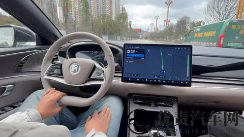 意料之外，我成了尊贵的比亚迪车主-2