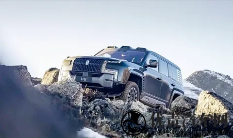 比亚迪跌落神坛？44万辆月销仍失冠，背后暗藏三大危机！-1