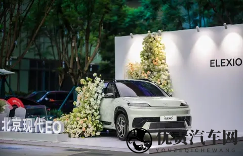 李凤刚转战北京现代:智启2030计划首次由中方主导-3