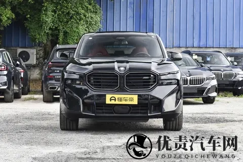 全新宝马X8登场：溜背设计引热议，智能与运动兼备瞄准中产新需求-3