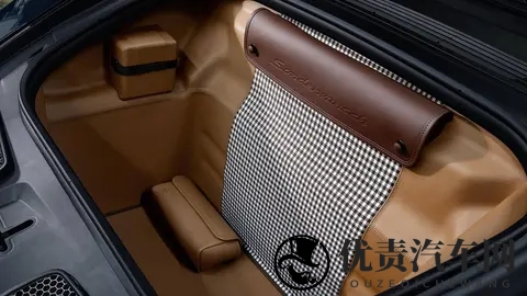 700小时的艺术：保时捷911 GT3 Ocelot：致敬拉美豹猫-1