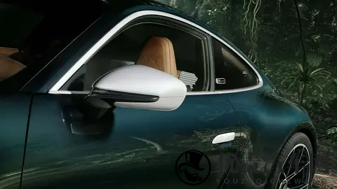 700小时的艺术：保时捷911 GT3 Ocelot：致敬拉美豹猫-2