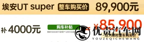 租电价499万元,京东“国民好车”到底值不值?-1