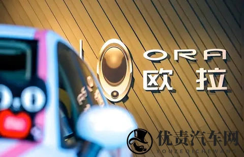 靠欧拉5这款纯电SUV，长城欧拉能不能翻盘？-3