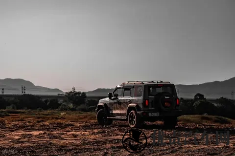 Deepseek探讨:老车情怀-1