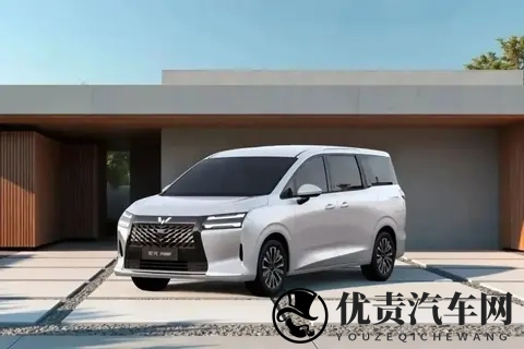 年度最重磅新车！730万元起，五菱星光730能卖好？-2