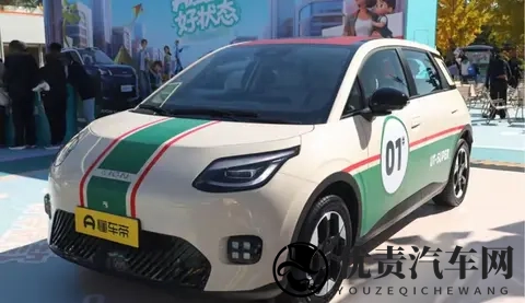 京东卖，广汽造，宁德时代供电池，这车有戏吗?-1