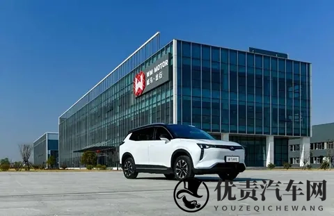 一夜负债200亿？电动车巨头轰然倒塌：终于活成贾跃亭信徒-2