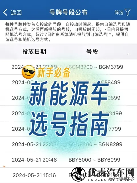 特斯拉新车主选号指南 🈯️ 新手必备-1