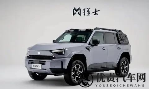 2025年10月方盒子车销量出炉：谁在逆袭？谁又跌惨了？-1