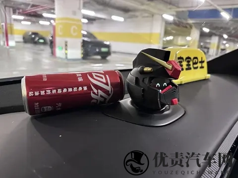 做蔚来车主也太幸福了吧~-2