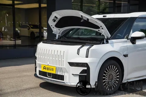 极氪009：宜商宜家豪华MPV，精英家庭优选，11月入手正当时！-3