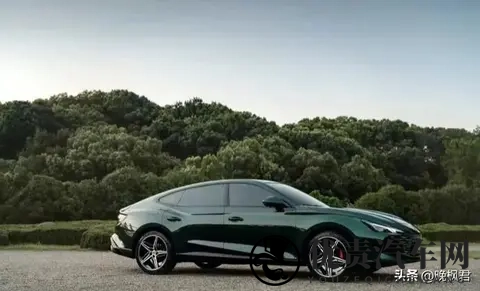 油价跳水车主静悄悄,电车吃火锅加油站长叹气,下个十年开啥车上路-3