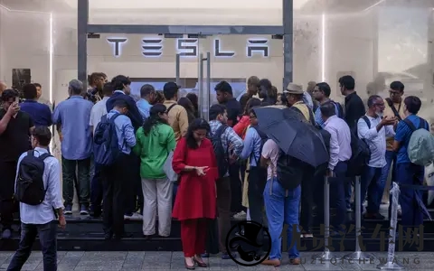 特斯拉月销量中国68万辆vs印度40辆！马斯克看傻了-3