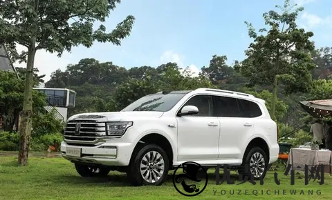 谁才是国内“越野一哥”？坦克、方程豹、猛士10月销量出炉-3