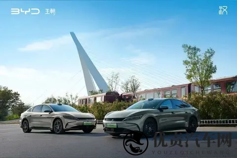 负增长下比亚迪下一步咋整?干趴韩国现代,海外小目标150万辆-2