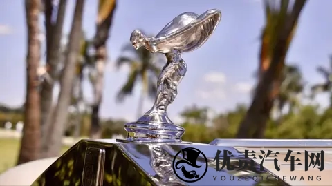 带镀金马桶的劳斯莱斯？126万欧元成交的定制传奇-2