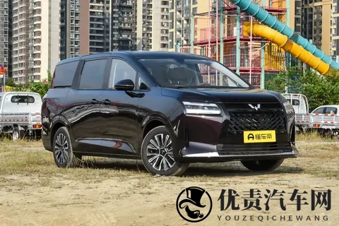 8 万内 7 座家用车：驾乘舒适还安全，值得选吗？-1