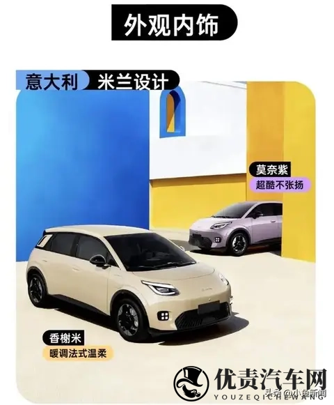 京东疯了！第一辆车4万5开走，4S店连夜开会！-1