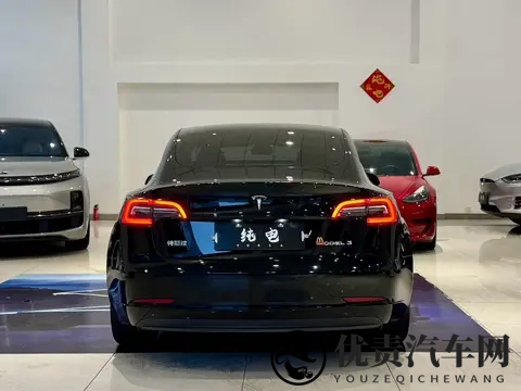 几个菜钱就能圆“特斯拉梦”?21年Model3抄底价!-2