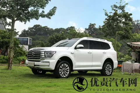 谁才是国内“越野一哥”？坦克、方程豹、猛士10月销量出炉-2