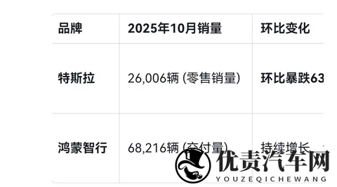 特斯拉销量大幅下滑-2