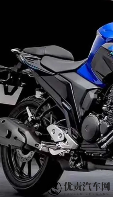 雅马哈飞致250复出 拼的不是马力 是省油能走天下的底气-3