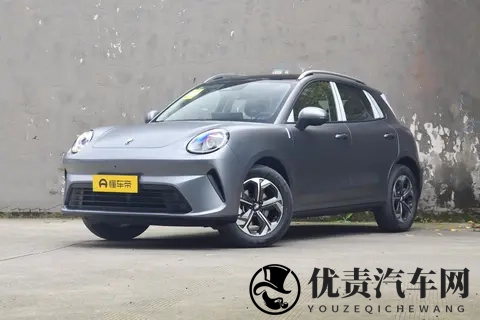 魏建军：炒作电动车的资本已经走了 电动车相当于啃老-2