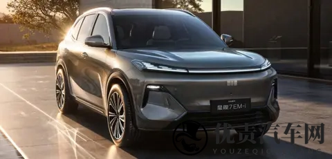 明年买插混价格加倍？这7款超值插混车今年先盘下！-1