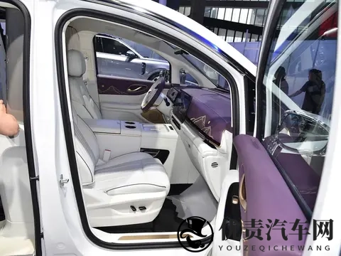 预售价7099万元_四座布局 岚图梦想家山河版将于11月21日上市-2