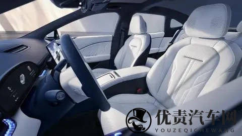 Nappa真皮普及背后:车企宣传的“文字游戏”该停了-1