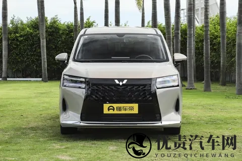 10万级MPV市场又添猛将，家用选它准没错！738万起限时置换价-3