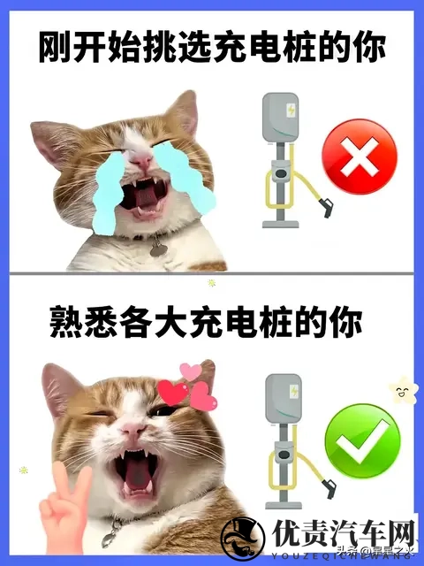 2025车检新政实测!15年以上老车免半年检,省千元成本-1