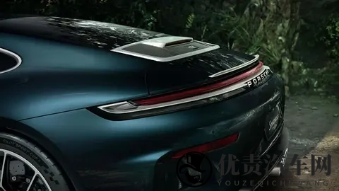 700小时的艺术：保时捷911 GT3 Ocelot：致敬拉美豹猫-3